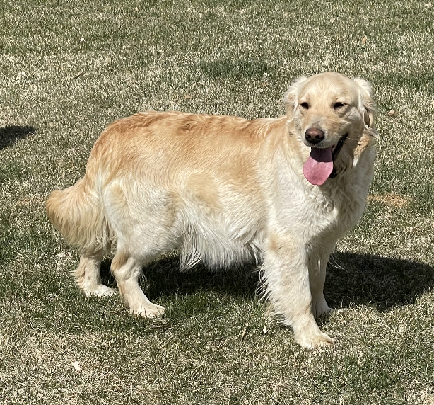 Emmy